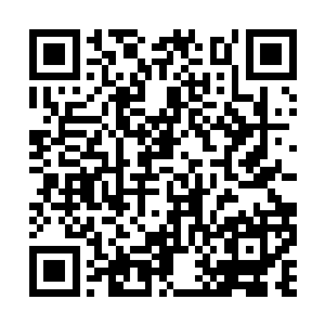 固然有秦宇厚积薄发在半步尊者呆了这么久的原因二维码生成