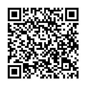 国会议长许诺将会推动在国会中提出多个议案甚至法律二维码生成