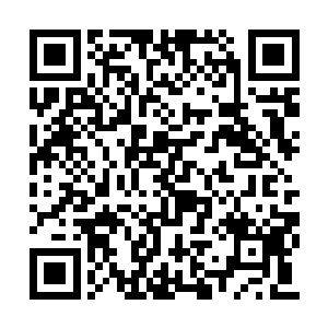 国内一台贴牌手机的利润率可以高达百分之两百二维码生成