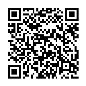 国内其他权威机构也证实了智为浏览器的下载量二维码生成