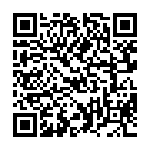 国内和斐济这边的时差并不太大也就是四个小时的样子二维码生成