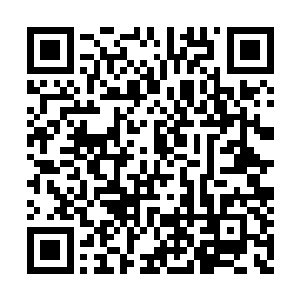 国内最大的武装力量就是美国海军的一个陆战队二维码生成