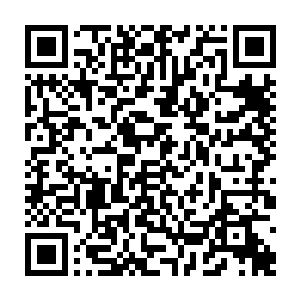 国内的施工公司老板自然知道贝海这边是出钱的大老板这活儿干的就相当的用心二维码生成