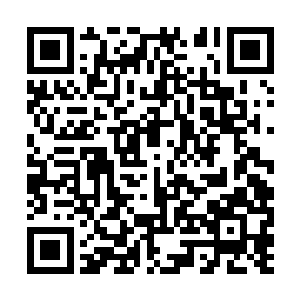 国内的那些专业开发团队和专家他可基本上都认识二维码生成