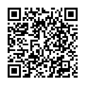 国内研究所与国外研究机构的大部分交流也是通过传真机二维码生成