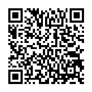 国内风头正劲的创业偶像程浩就那么规规矩矩地站在沙发旁等候二维码生成