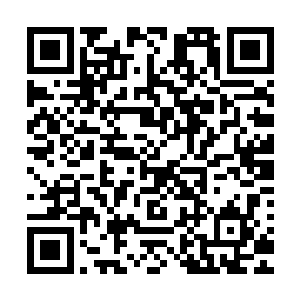 国务院授权国有资产监督管理委员会代表国家履行出资人职责二维码生成