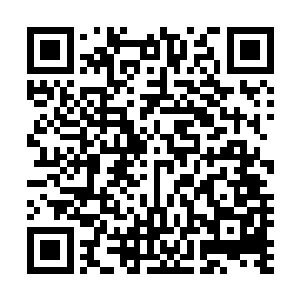 国君能把这样一个口无遮拦的年轻人带过来一定是有原因的二维码生成