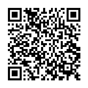 国安局下属的某监察小组正对这次地下赌博进行密切关注二维码生成