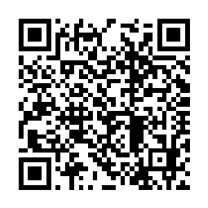 国家官网上最新公布了我国领导人家庭成员的照片二维码生成