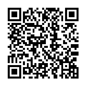 国家的政治权利与军事权力再次开始向一个人靠拢与集中二维码生成