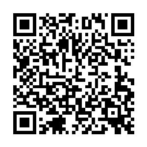 国家金融资产管理公司实际上成为企业阶段性持股的股东二维码生成