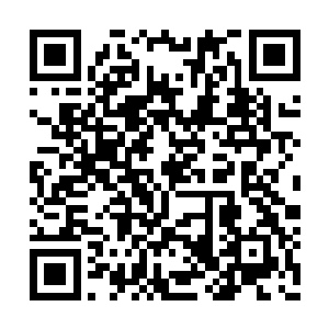 国家队比赛日似乎并没有影响到他们的排兵布阵二维码生成