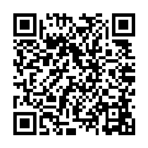 国王陛下也非常担心自己的儿女会被战斗于波伤及二维码生成