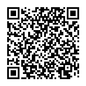 国王陛下正等着您商议如何处理王国腹地新出现的那批反叛军的事情……二维码生成