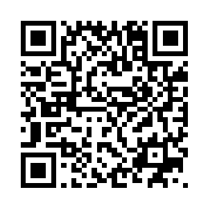 国防军现在的航空兵数量不算很多二维码生成