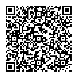 国际上的影响力也随之扩大――这大概也就是白兰在日本那么浪却没有人出来干掉他的原因吧二维码生成