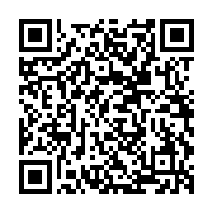 国际亨利银行的总裁亨利先生和中华投资集团的懂事长林国立二维码生成
