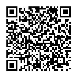 图拉扬和丹妮拉分别是拉维斯公国中最有希望接过大公权柄的两个人二维码生成