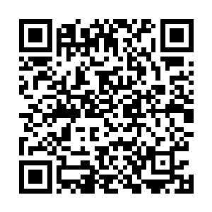 圆嗔是龙象寺传承万年来第一个有望证得佛陀正果的高僧二维码生成