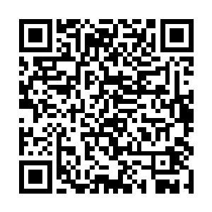 圆弧形的建筑顶盖像是一个个散落在大地上的头盖骨二维码生成