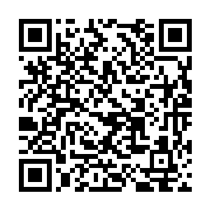 圆滑可以最大限度的帮助自己在这个局里实现稳定二维码生成
