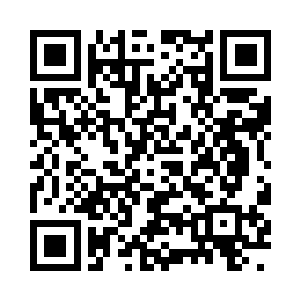 土上面用捡来的干松枝生了一堆的篝火二维码生成