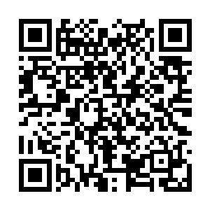 土依水和剑无虚两条人影从芥子空间内倒飞了出来二维码生成