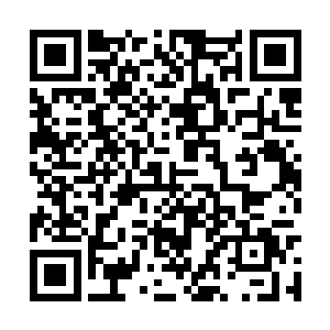 土地同志你还在任期间好好教永发同志怎么当村长二维码生成