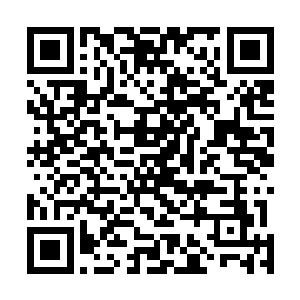 土城大概是想要原战代替他们的神血战士出手参加比试吧二维码生成