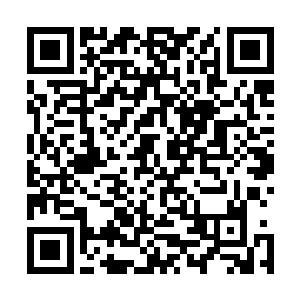 土狗押送带着鱼群浩浩荡荡的向着远离箭号作业的海域奔去二维码生成