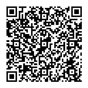 土狗顶着小迈克向着这边游了过来的时候船上的水手们也都看到了水中那五米多长的旁大身躯二维码生成