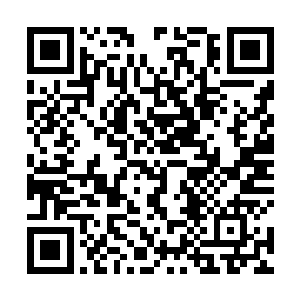土豪金在侦查方面则相当于是林封谨的第三只活动眼睛二维码生成