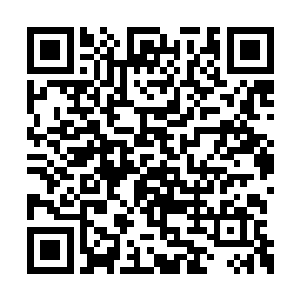 土豪金已经是完全超越了他见过的最强大的蛊虫二维码生成