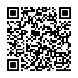 圣保罗在主场迎来了另外一支强队瓦斯科达伽马二维码生成