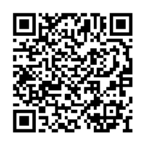 圣保罗自然不甘心连淘汰赛阶段都进不去就出局二维码生成