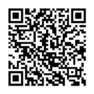 圣元塔的整个空间在这样的波动下都要扭曲碎裂二维码生成