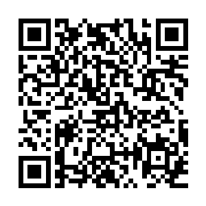 圣元大陆其余活着的十四个大学士被挪移到千里之外的怒斧部落二维码生成