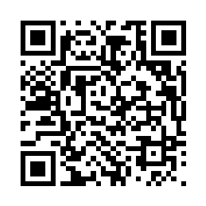 圣光老人带着刘飞去了他所在的宫殿二维码生成