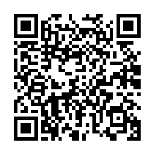 圣地之所以能够称之为圣地那底蕴绝对是无比的恐怖的二维码生成
