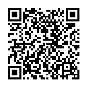 圣地的每一任圣主都能达到入圣三层境的顶尖修为二维码生成