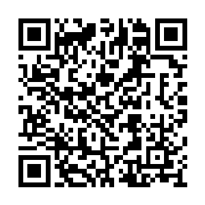 圣域巅峰力量的圣体如同巨牛一般狠狠冲撞而来二维码生成