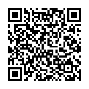 圣女对江帆那带有侵略性不善的眼神不在意也不惧怕二维码生成