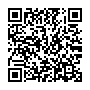 圣山一系也肯定是知晓了的……圣子彼得中途进来过一次二维码生成