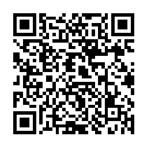 圣帝的数量比我们天元大陆上的圣皇都还要多上几倍二维码生成