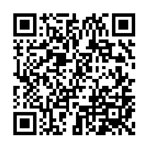 圣弃界的事情究竟是不是我剑尘胡乱编造出來的二维码生成