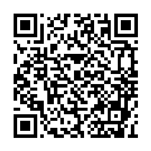 圣弃界的圣灵王就犹如一座大山似得压在他身上二维码生成
