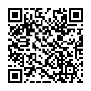 圣教为了培养出这么一个年纪十岁以下的九级神灵二维码生成