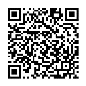 圣武士们将盖着领主徽章的告示拍在那些店主的脸上二维码生成