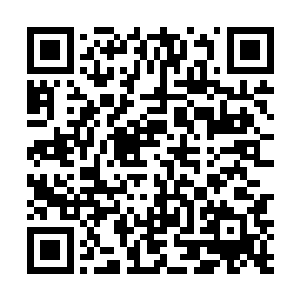 圣殿一定会派出实力强大的圣殿长老来搜寻整个星月界二维码生成